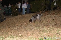 VBS_6427 - Inaugurazione Stagione 2022-23 Simulazione Ricerca Tartufo
